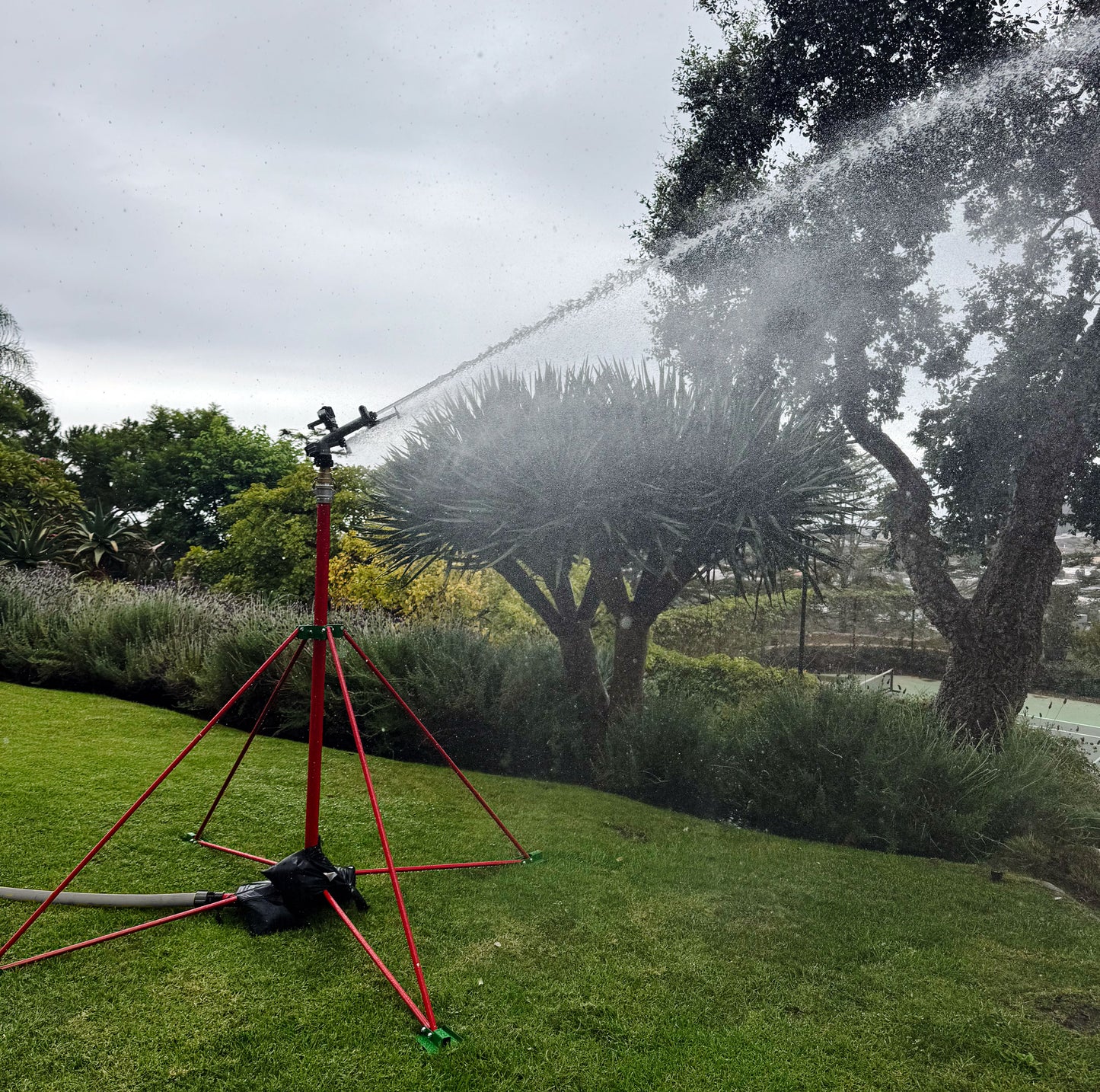 Bigfoot Exposure Defender