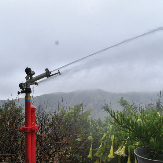 Stationary Exposure Defender with Foundation Post